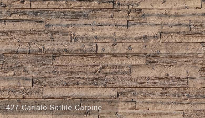 carpine